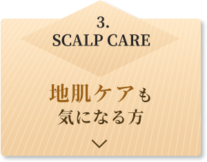 3.SCALP CARE 地肌ケアも気になる方